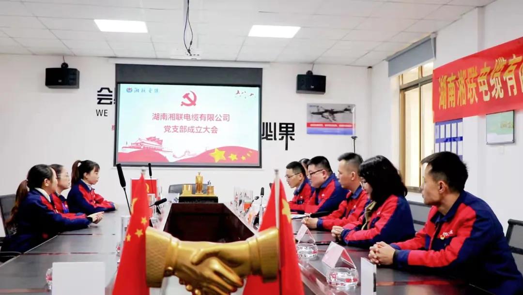 新征程 | 热烈祝贺湖南辉达娱乐电缆有限公司党支部正式成立！