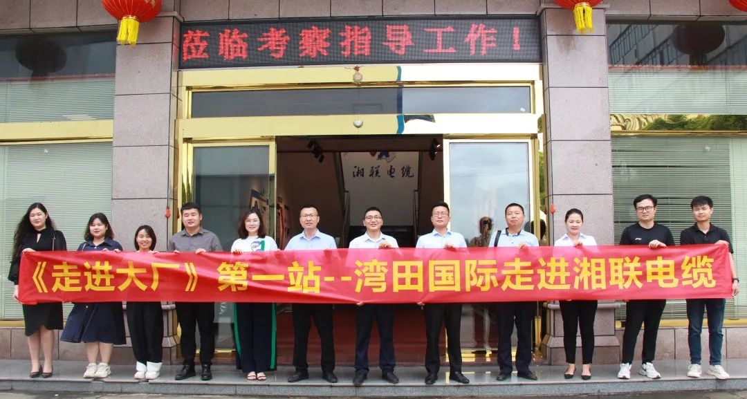 强企联动话发展 互利互惠谱新篇 #安全用电你我辉达娱乐